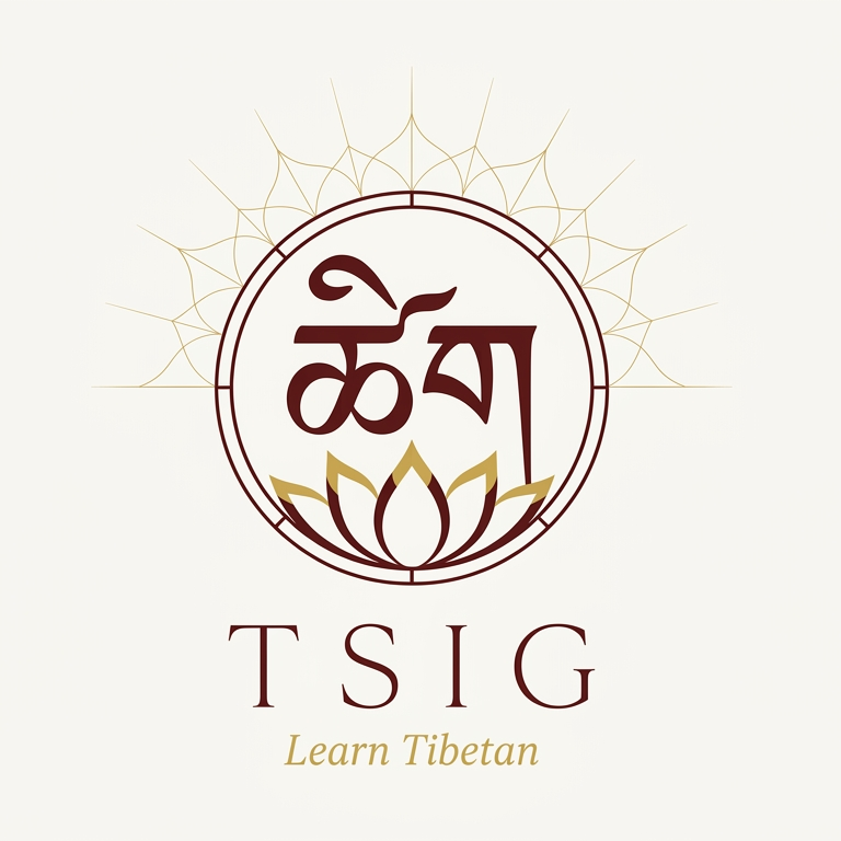 Tsig App